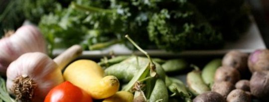 Organic Farming Techniques Are Closing Gap On Conventional Yields Organic Farming Techniques Are Closing Gap On Conventional Yields