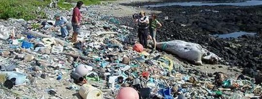 In The Ocean, The Most Harmful Plastic Is Too Small To See In The Ocean, The Most Harmful Plastic Is Too Small To See