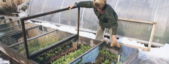 Extending the Vegetable Growing Season