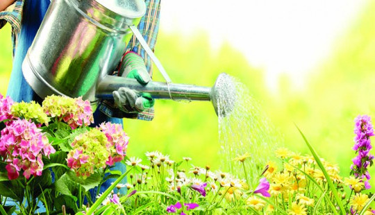 Why Gardening Is Good For Your Mind As Well As Your Body