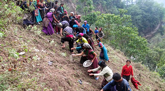 Medicinal Plants Alleviate Poverty and Protect Nepal’s Fragile Environment Medicinal Plants Alleviate Poverty and Protect Nepal’s Fragile Environment