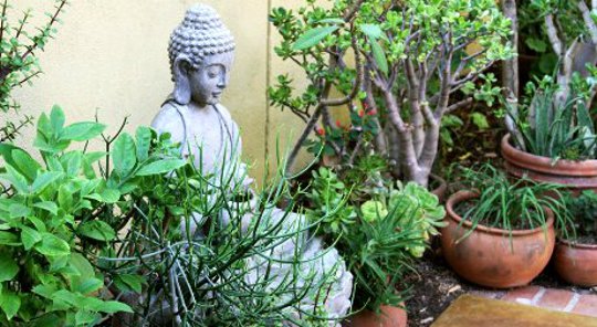 Creating Your Nature Space & Reawakening the Rhythms of Your Life