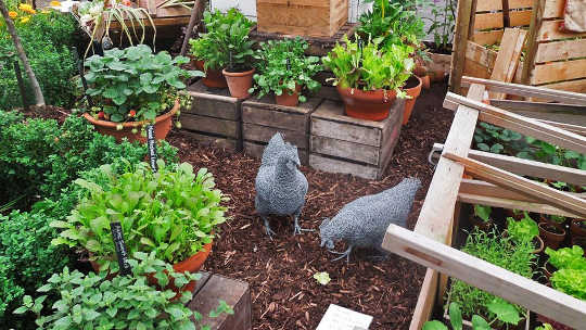 Home Growing Produces Ten Times the Food of Arable Farms