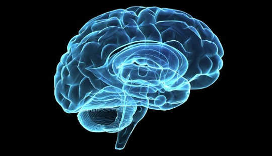 Is Schizophrenia Written In Our Genes?