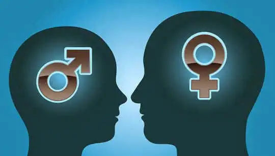 A Beginner's Guide To Sex Differences In The Brain