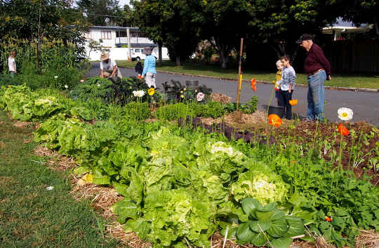 front yard garden