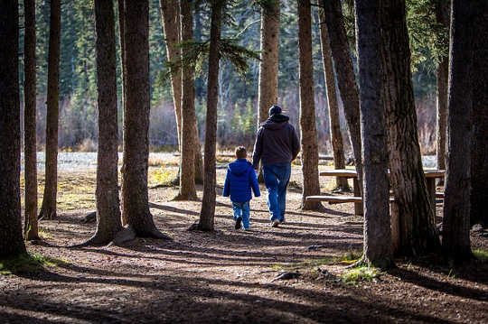 How Contracts With Landowners Could Help Prevent Deforestation How Contracts With Landowners Could Help Prevent Deforestation
