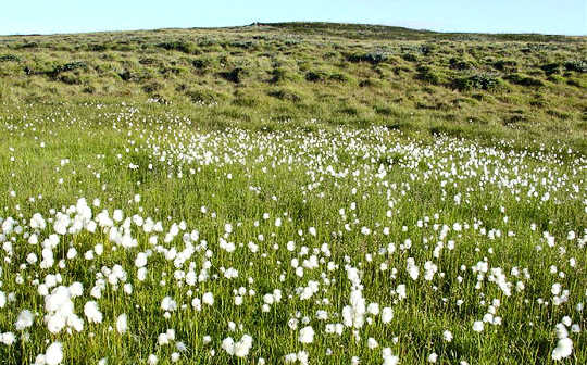 Spring Is Now Arriving Earlier The Farther North You Go Spring Is Now Arriving Earlier The Farther North You Go