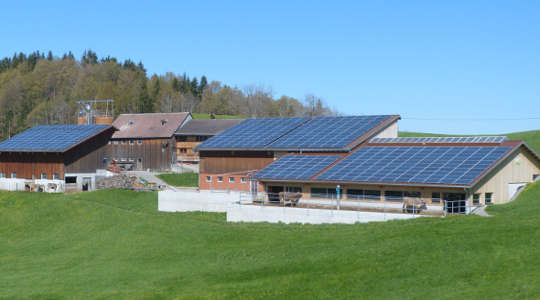 This Water Based Battery Stores Green Energy For Later This Water Based Battery Stores Green Energy For Later