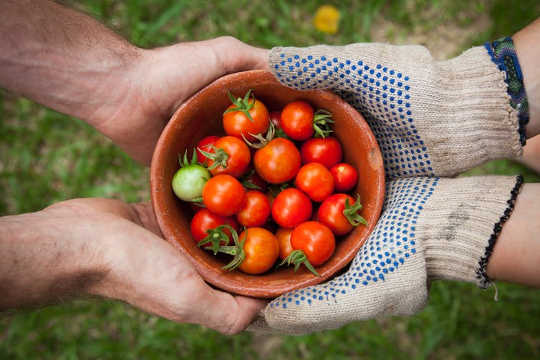 How Community Gardening Improves The Health And Provides A Sense Of Purpose