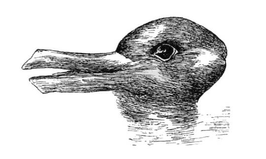 Do You See A Duck Or A Rabbit: Just What Is Aspect Perception? Do You See A Duck Or A Rabbit: Just What Is Aspect Perception?