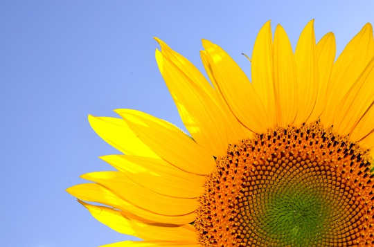Abandoning Worry Opens A World Of Possibilities Abandoning Worry Opens A World Of Possibilities