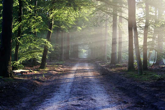 Where To Start Reclaiming Our Birthright: Viewing Life As A Vision Quest Where To Start Reclaiming Our Birthright: Viewing Life As A Vision Quest