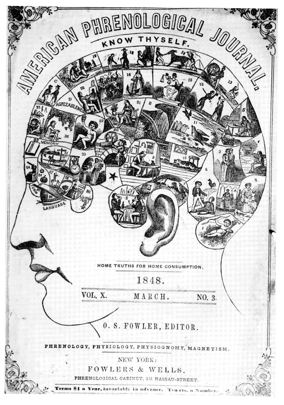 Mapping the brain: scientists define 180 distinct regions, but what now?