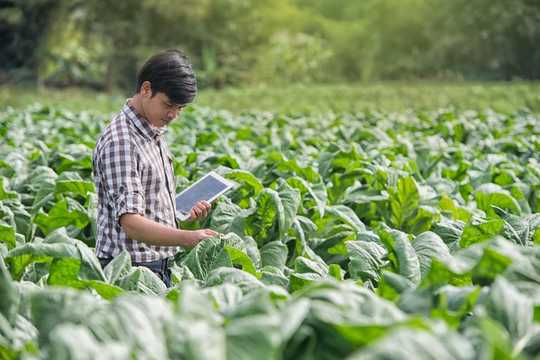 3 Ways Farms Of The Future Can Feed The Planet And Heal It Too 3 Ways Farms Of The Future Can Feed The Planet And Heal It Too