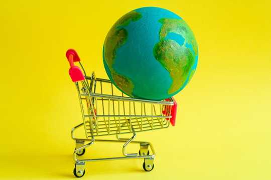 4 Ways To Reduce The Carbon In Your Food Basket 4 Ways To Reduce The Carbon In Your Food Basket