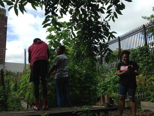 How Students Grow Their Community Roots And Critical Consciousness How Students Grow Their Community Roots And Critical Consciousness