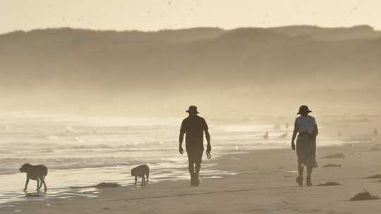 Man's Stressed Friend: How Your Mental Health Can Affect Your Dog