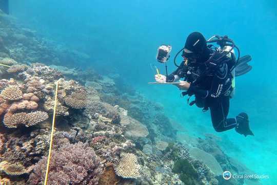 Two Reef Scientists Share Their Climate Grief Two Reef Scientists Share Their Climate Grief