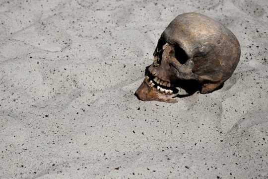 Will Climate Change Cause Humans To Go Extinct? Will Climate Change Cause Humans To Go Extinct?