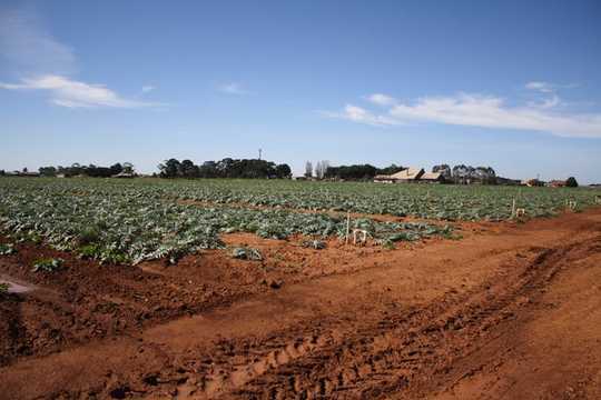 It Takes A Lot Of Water To Feed Us, But Recycled Water Could Help