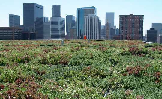 Green Roofs Improve The Urban Environment – So Why Don't All Buildings Have Them? Green Roofs Improve The Urban Environment – So Why Don't All Buildings Have Them?
