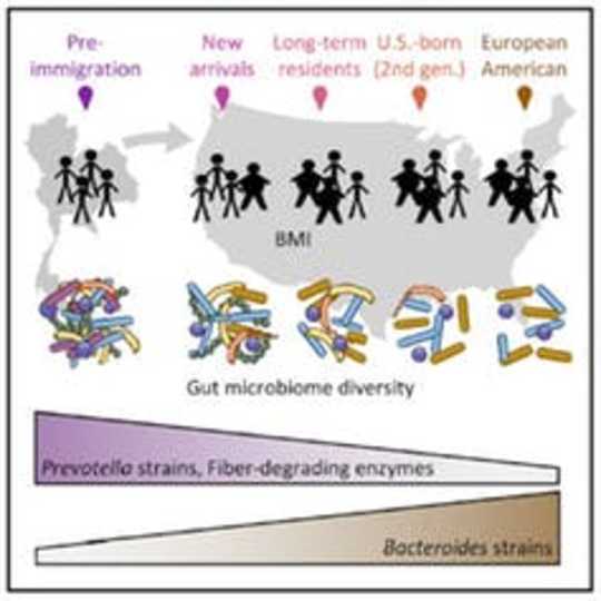 Moving To Another Country Could Mess With Your Gut Bacteria