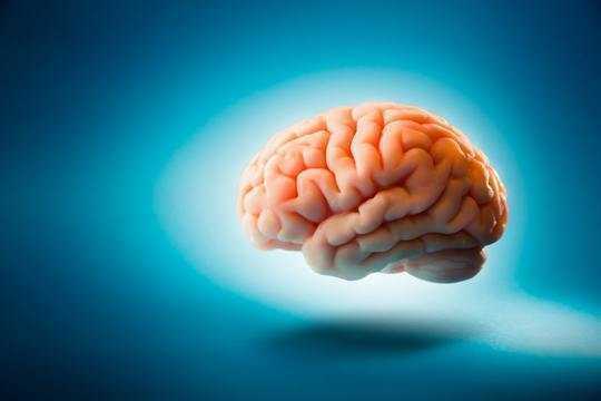 Have We Got The Cause Of Alzheimer's Disease All Wrong?