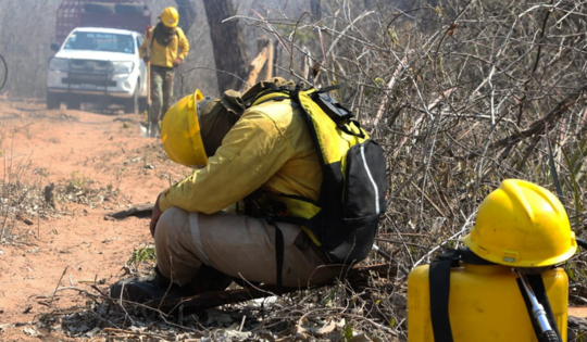 It’s Not Just Brazil's Amazon Rainforest That’s Ablaze – Bolivian Fires Are Threatening People And Wildlife It’s Not Just Brazil's Amazon Rainforest That’s Ablaze – Bolivian Fires Are Threatening People And Wildlife