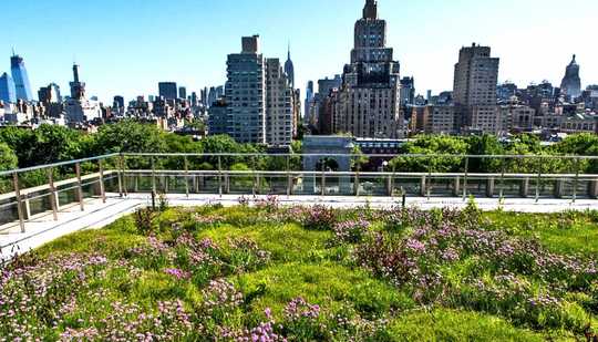 Big Cities Go Green To Fight Against Climate Change Big Cities Go Green To Fight Against Climate Change