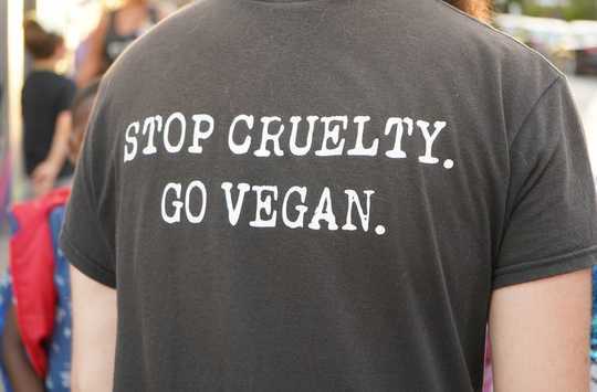 Why Vegan Activism Needs To Switch Gears Why Vegan Activism Needs To Switch Gears
