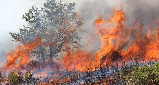 Why Wildfire Health Hazards Extend Hundreds Of Miles Why Wildfire Health Hazards Extend Hundreds Of Miles