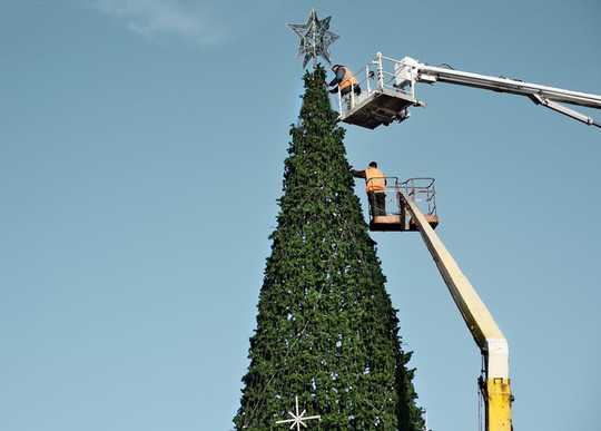 Is It Better To Buy A Real Christmas Tree Or A Fake One? Is It Better To Buy A Real Christmas Tree Or A Fake One?