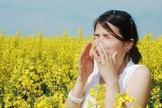 Pollen Is Getting Worse, But You Can Make Things Better 
