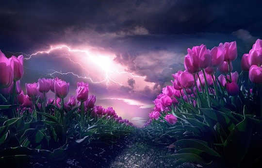 Horoscope Current Week: April 20 - 26, 2020 Horoscope Current Week: April 20 - 26, 2020