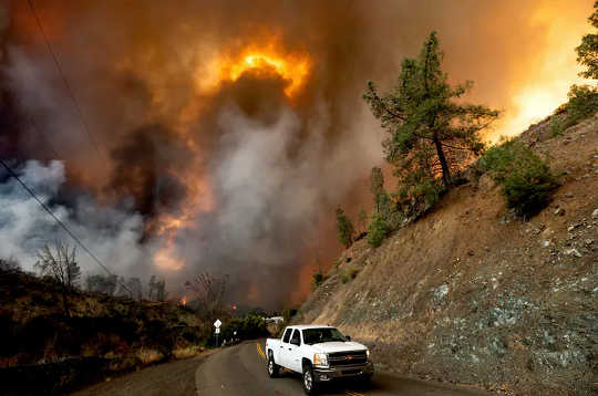 What's In Wildfire Smoke That Is So Bad For Your Lungs?