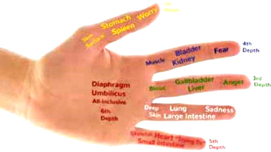  A powerful healing tool, the hand is a multidirectional conduit for the energy of Jin Shin. (simple self healing with the art of jin shin)