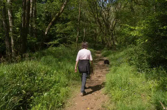 Should Your Doctor Send You For A Walk In The Park?