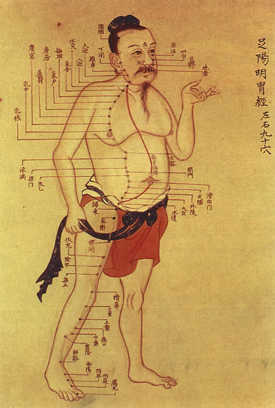 Illustration of traditional Chinese medicine. Wikimedia Commons
