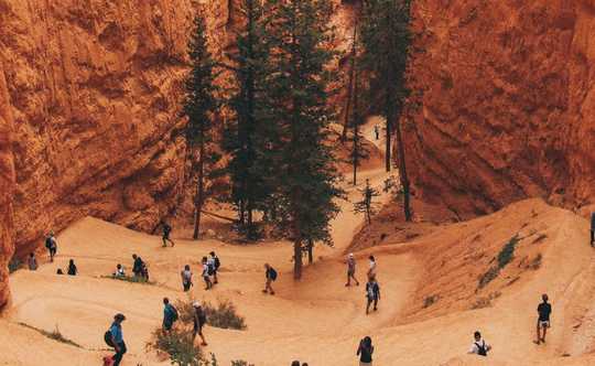 Summer Visitors To American Parks Choose Safety First Over Freedom To Roam Summer Visitors To American Parks Choose Safety First Over Freedom To Roam
