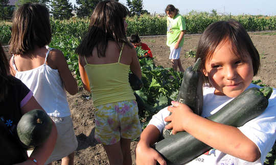 Some Gardening Advice from Indigenous Food Growers