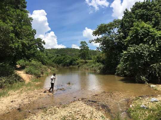 Cuba's Clean Rivers Show The Benefits Of Reducing Nutrient Pollution Cuba's Clean Rivers Show The Benefits Of Reducing Nutrient Pollution