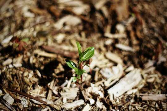 Get Back In The Garden With These Ideas