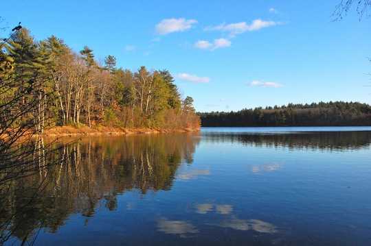 What Walden Can Tell Us About Social Distancing And Focusing On Life's Essentials What Walden Can Tell Us About Social Distancing And Focusing On Life's Essentials