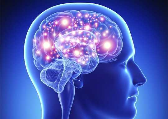 Your Brain, Healthy Fats, And The Importance Of Fitting Into Your Genes