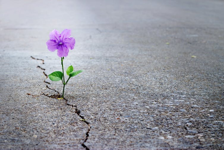 How Hope Can Keep You Healthier And Happier How Hope Can Keep You Healthier And Happier