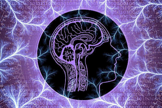 Why It Takes A Lot of Brain Real Estate To Disagree Why It Takes A Lot of Brain Real Estate To Disagree