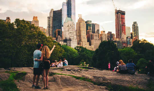 Urban Soil Is Often Overlooked As A Resource