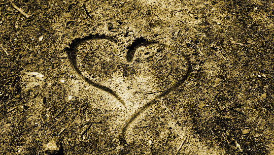How Can We Heal Our Broken World? How Can We Heal Our Broken World?