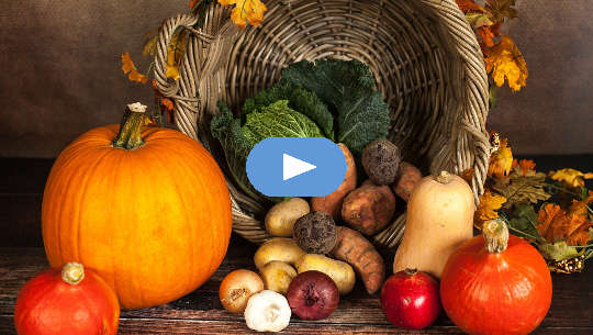 A Season for Everything: The Way Our Ancestors Ate (Video) A Season for Everything: The Way Our Ancestors Ate (Video)